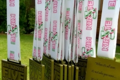 medals_1